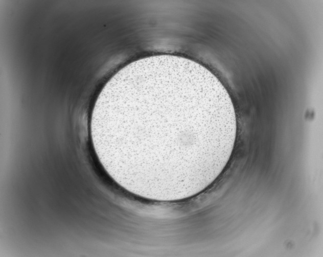 X0000101970020200808151348