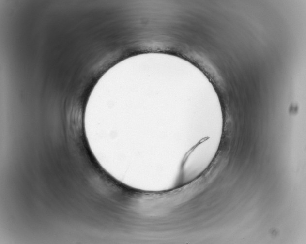 X0000101970021200808151348