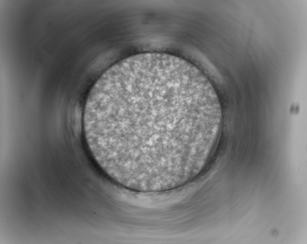 X0000101970022200808151348