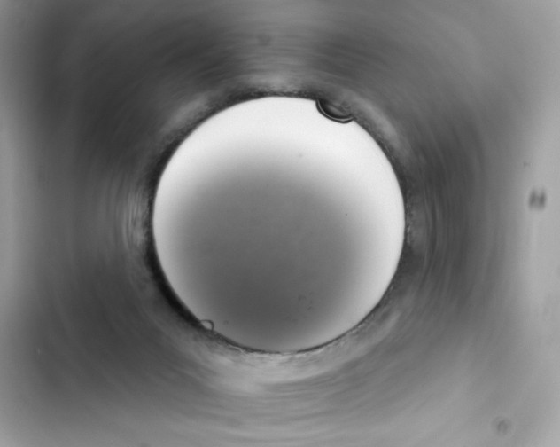 X0000101970023200808151348