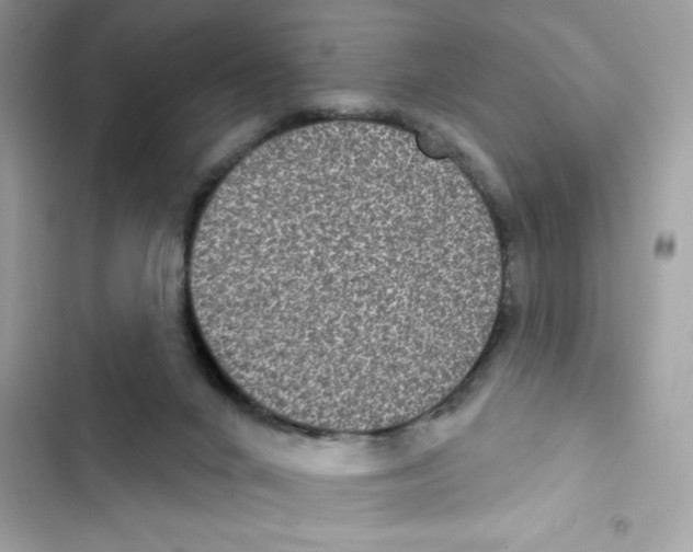 X0000101970024200808151348