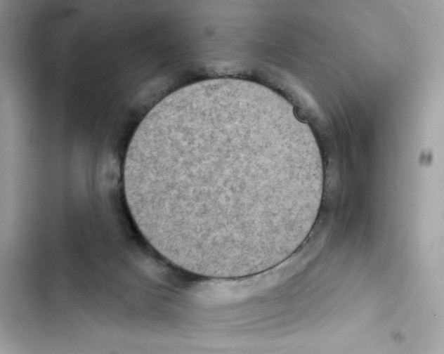 X0000101970025200808151348