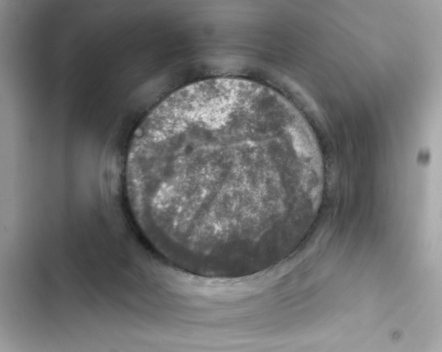 X0000101970026200808151348