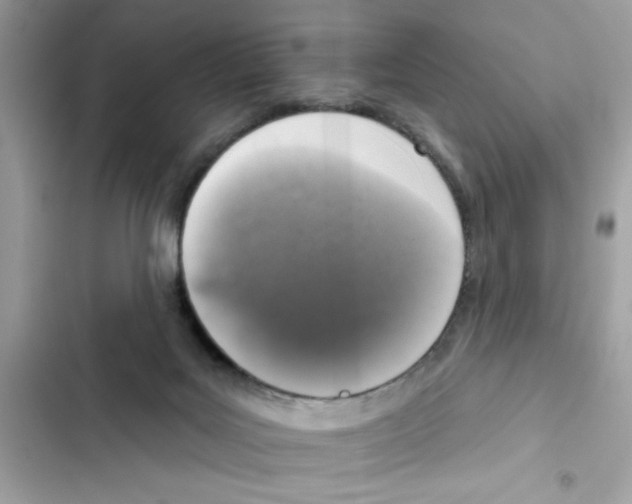 X0000101970027200808151348