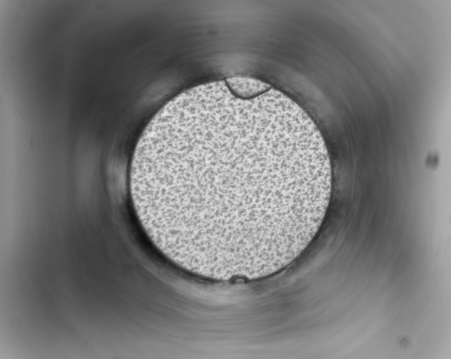 X0000101970028200808151348