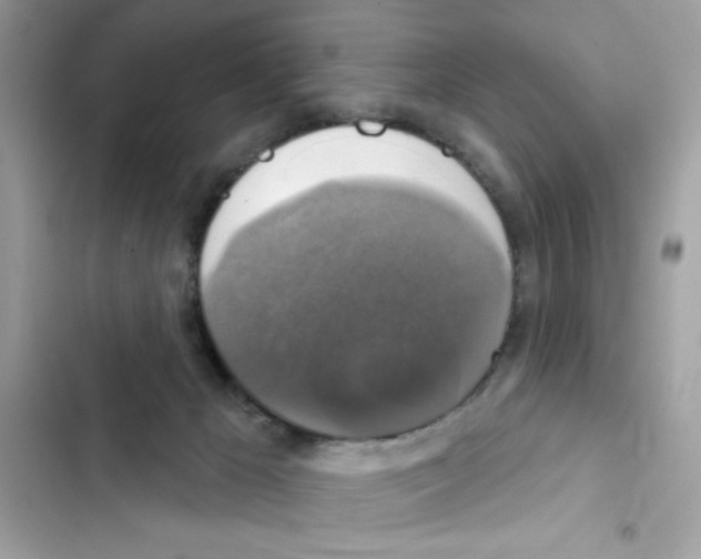 X0000101970029200808151348