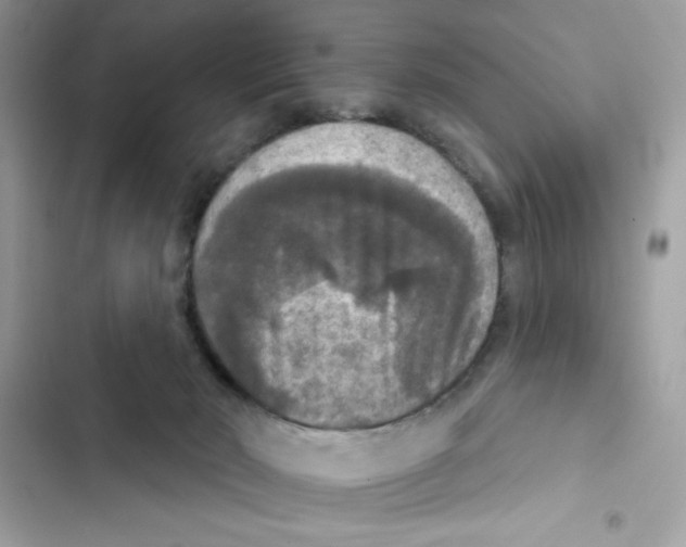 X0000101970030200808151348