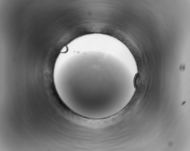 X0000101970031200808151348