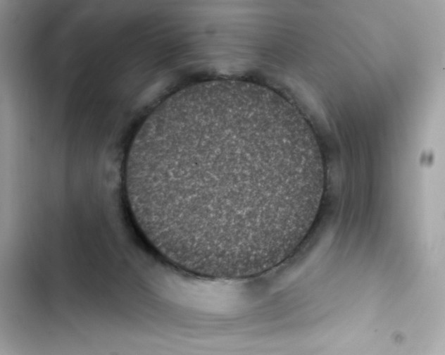 X0000101970032200808151348