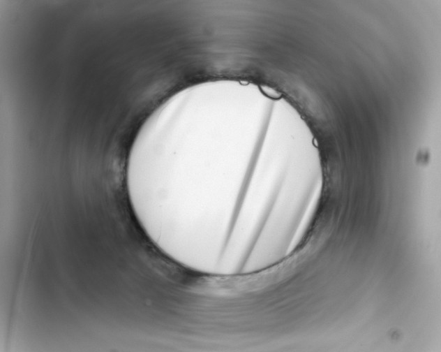 X0000101970033200808151348