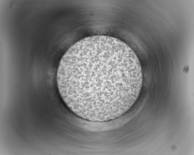 X0000101970034200808151348