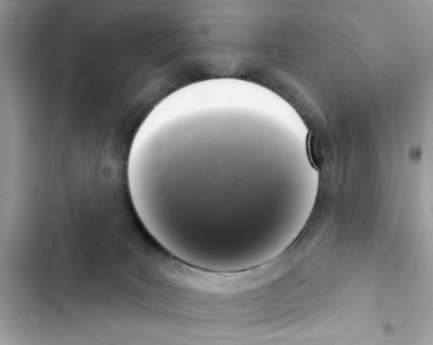 X0000101970035200808151348
