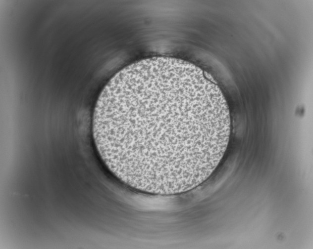 X0000101970036200808151348