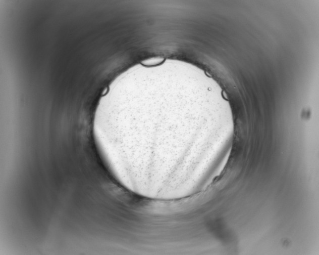 X0000101970037200808151348