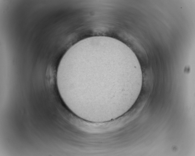 X0000101970038200808151348