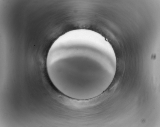 X0000101970039200808151348