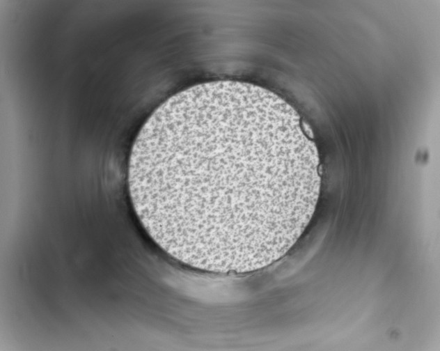 X0000101970040200808151348