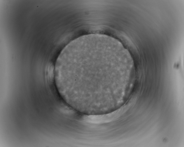 X0000101970041200808151348