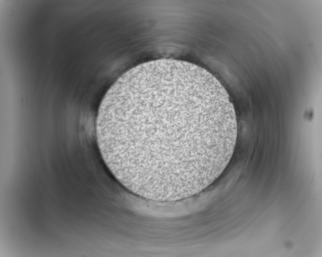X0000101970042200808151348