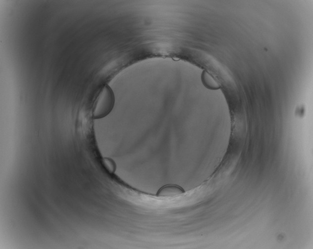 X0000101970043200808151348