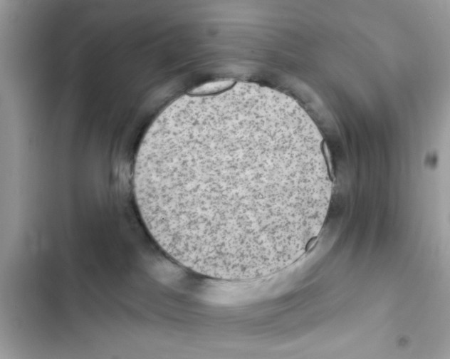 X0000101970045200808151348