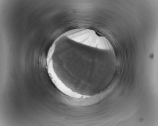 X0000101970046200808151348