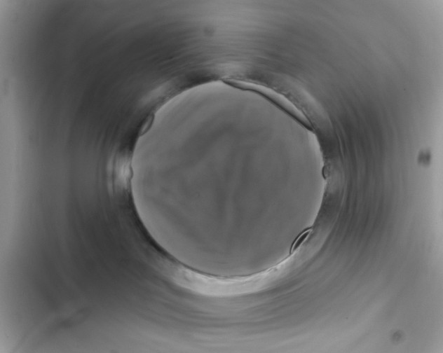 X0000101970047200808151348