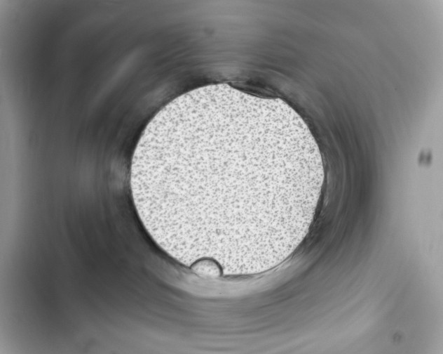 X0000101970048200808151348