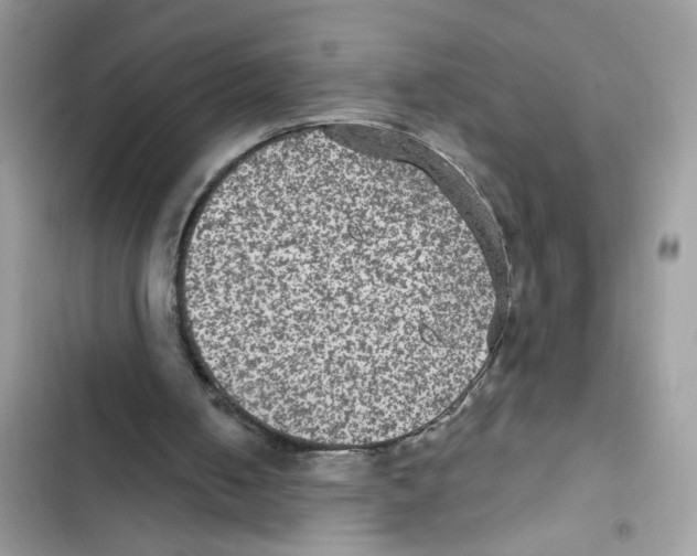 X0000101970050200808151347