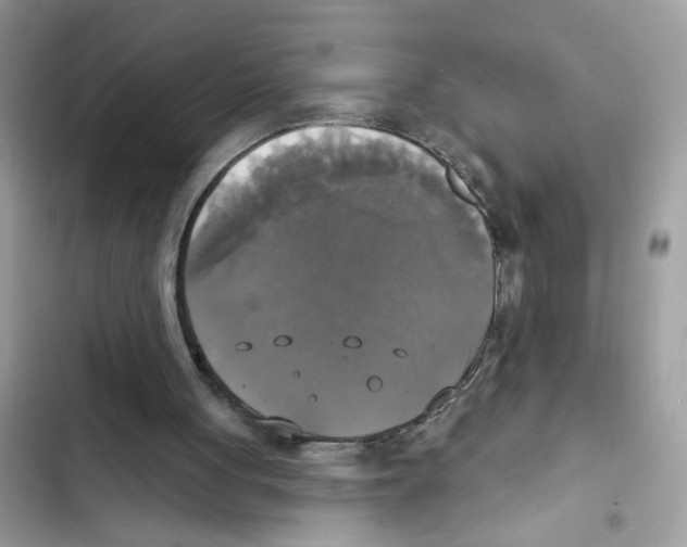 X0000101970051200808151347