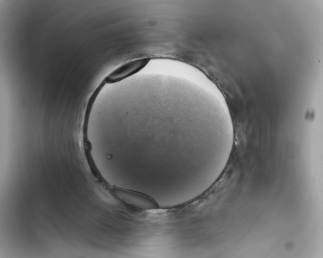 X0000101970052200808151347