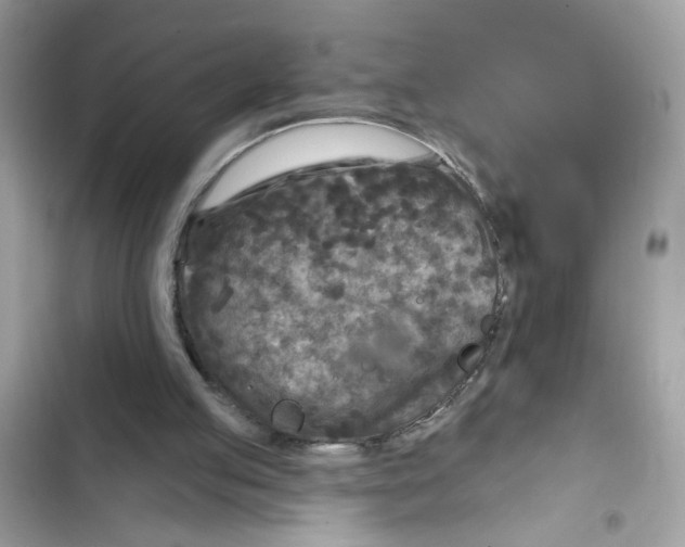 X0000101970053200808151347