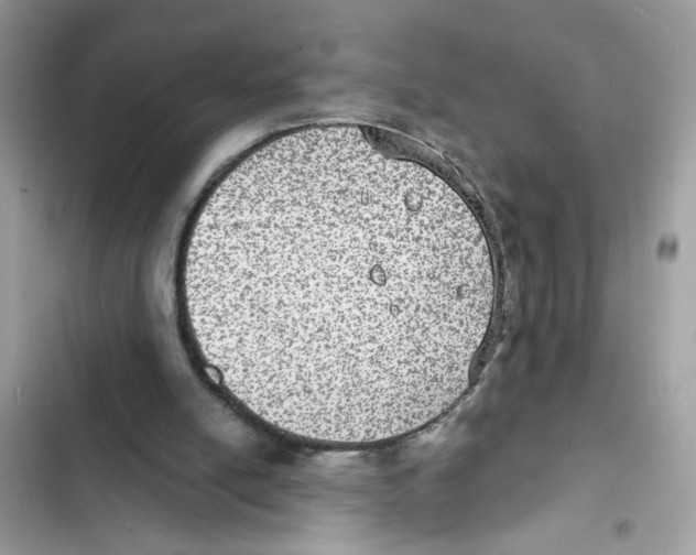 X0000101970054200808151347