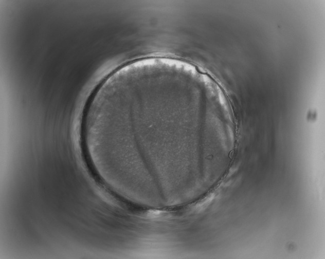 X0000101970055200808151347