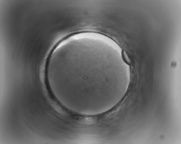X0000101970056200808151347