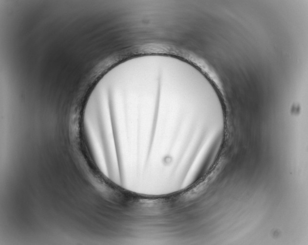 X0000101970057200808151347