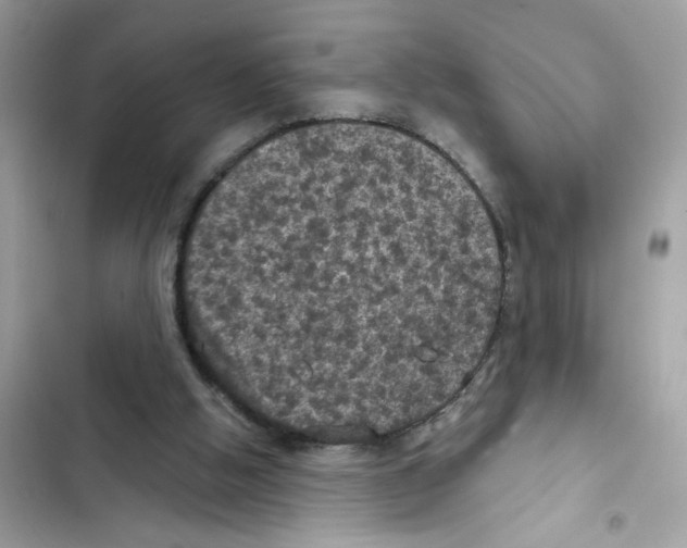 X0000101970058200808151347
