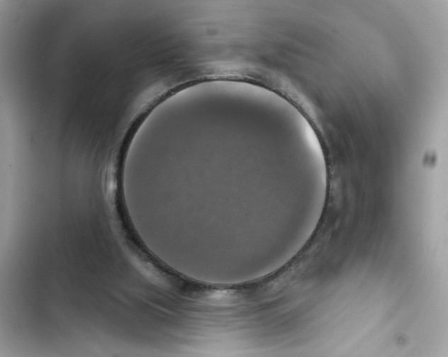 X0000101970059200808151347