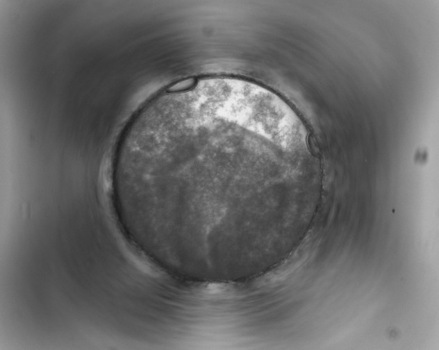 X0000101970060200808151347
