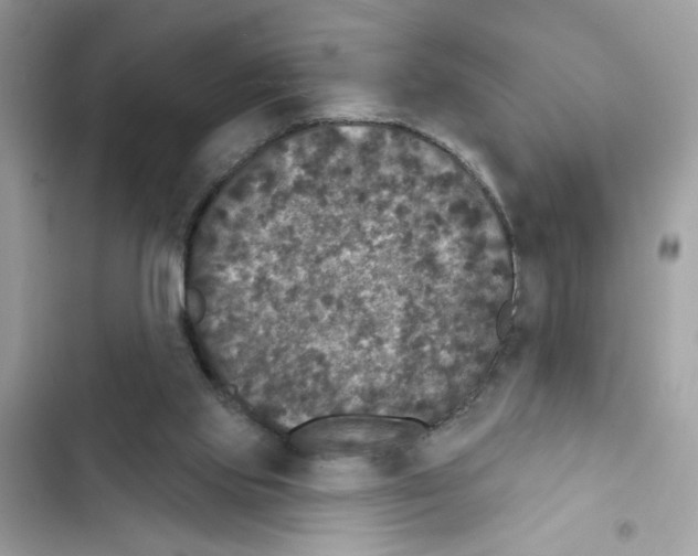 X0000101970061200808151347