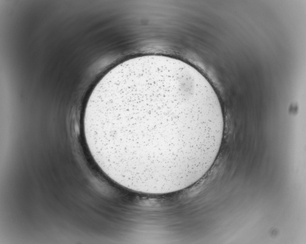 X0000101970062200808151347