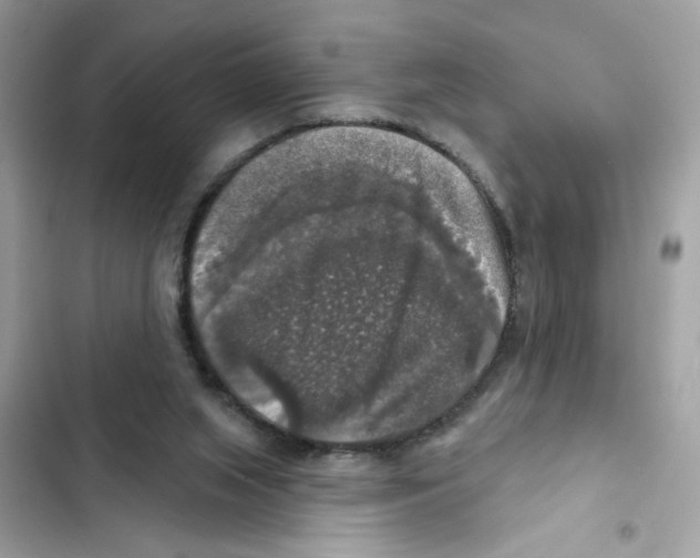 X0000101970063200808151347