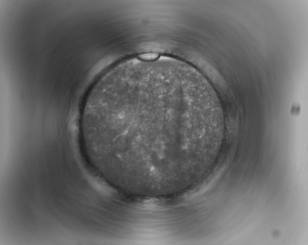 X0000101970064200808151347