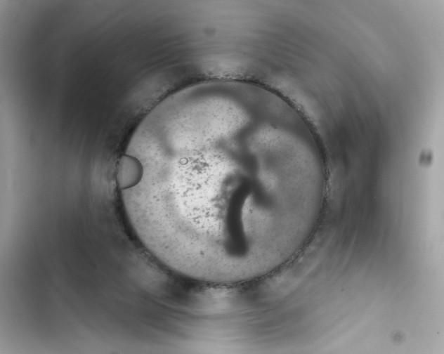 X0000101970065200808151347