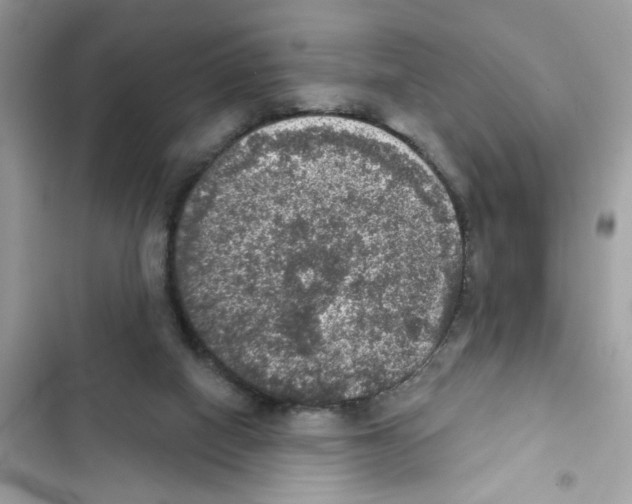 X0000101970066200808151347