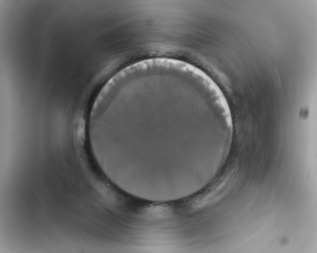 X0000101970067200808151347