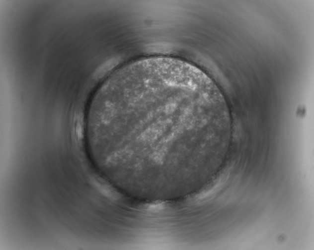 X0000101970068200808151347