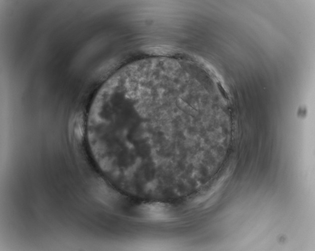 X0000101970069200808151348