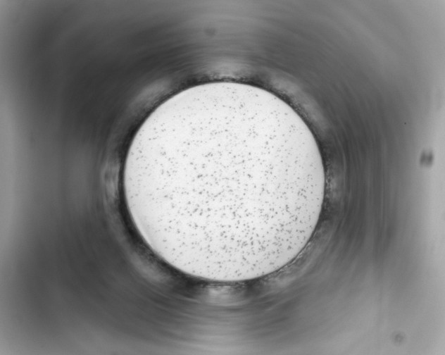 X0000101970070200808151348