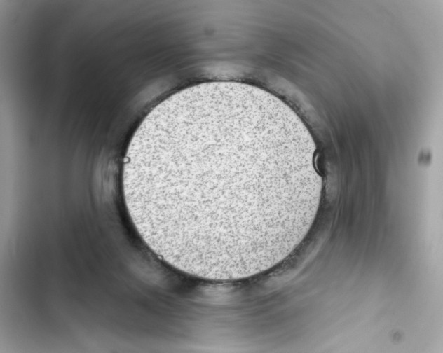 X0000101970071200808151348